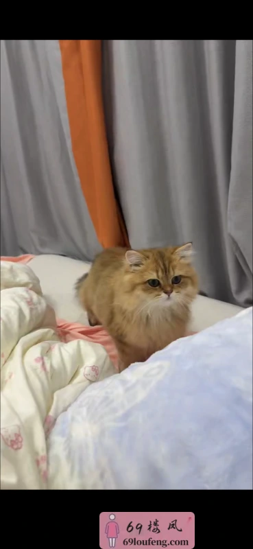 肥臀bbw - 浙江-杭州 楼凤实拍第3张