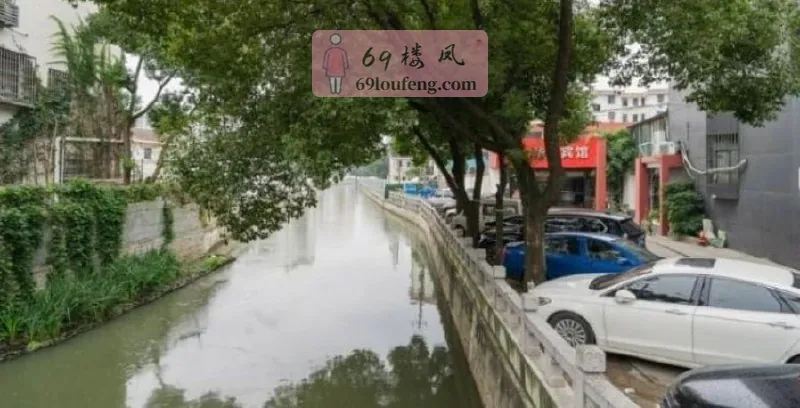 狮山街道附后绿宝广场后边小河边 - 江苏-苏州 楼凤实拍第2张