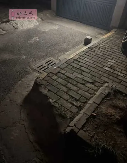 昨晚上吃完饭回家 - 江苏-南京 楼凤实拍第2张