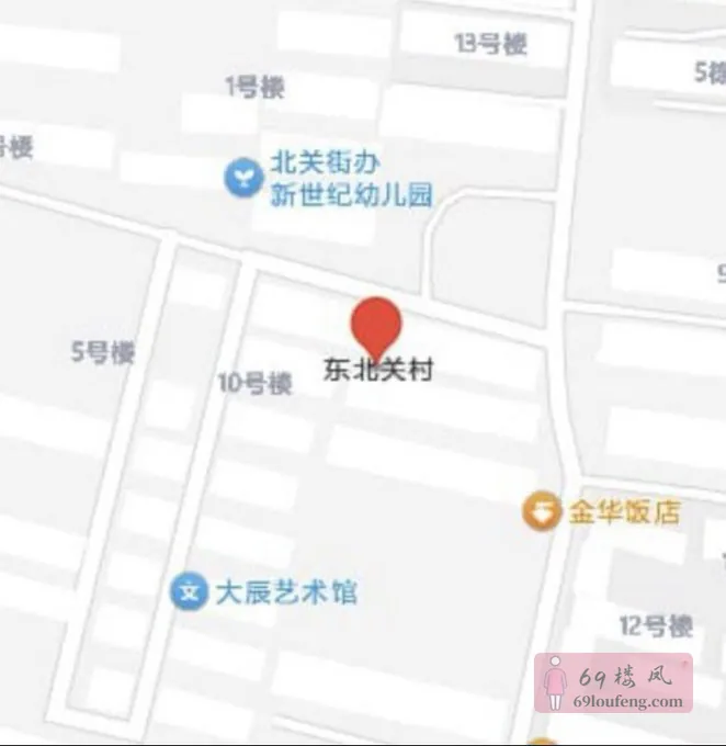 东北关村一条街 - 山东-潍坊 楼凤实拍第1张