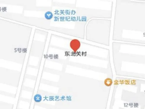 东北关村一条街 地铁口小姐 山东-潍坊