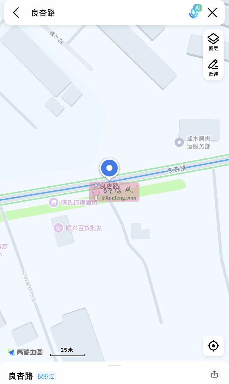 良杏路两边有几家店 - 广东-佛山 楼凤实拍第1张