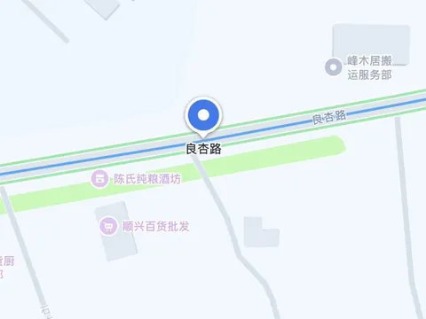 良杏路两边有几家店 地铁口小姐 广东-佛山