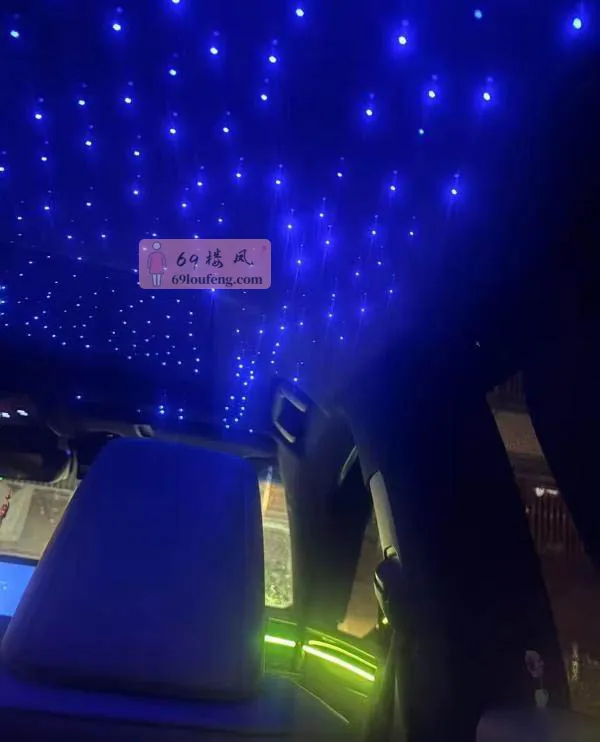 车震骚妇妞妞 - 江苏-南京 楼凤实拍第2张