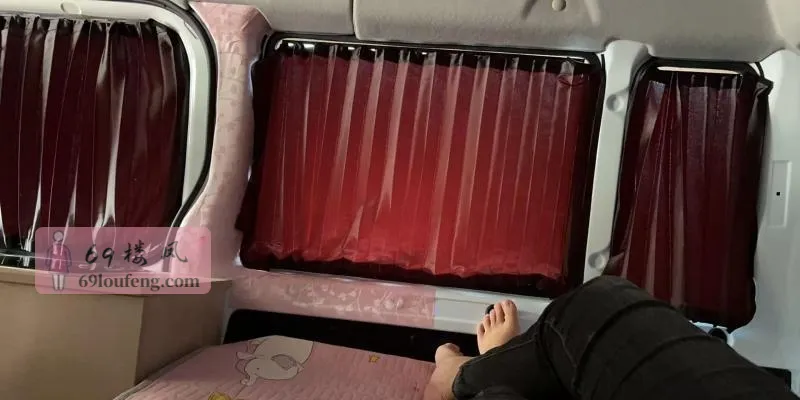 车震小龙女 - 江苏-无锡 楼凤实拍第4张