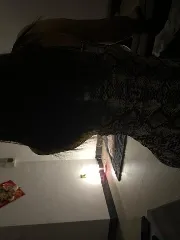 【广东 - 广州】海珠区大长腿莹莹 最新实拍图片