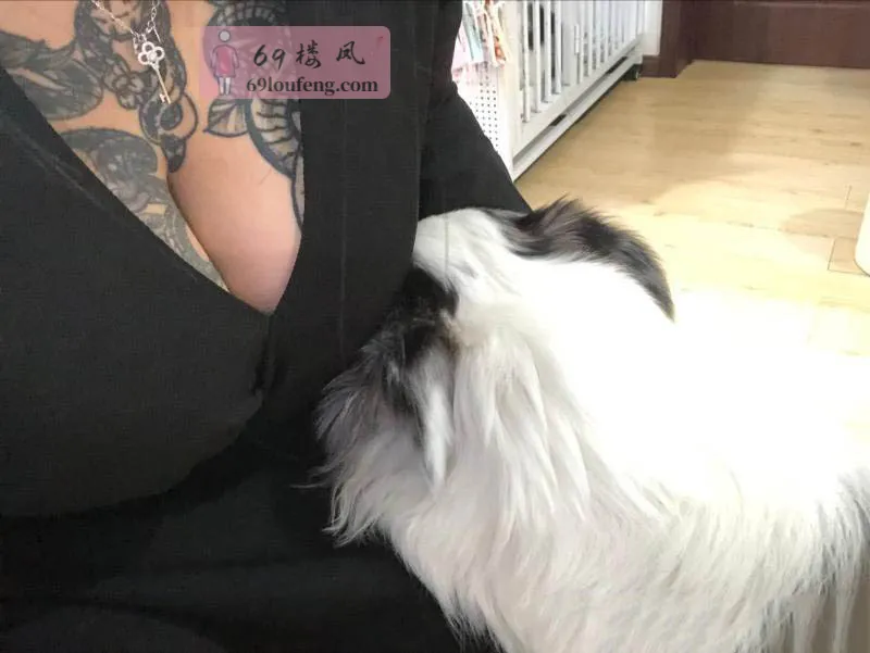 【即墨区】纹身小坦克 - 山东-青岛 楼凤实拍第3张