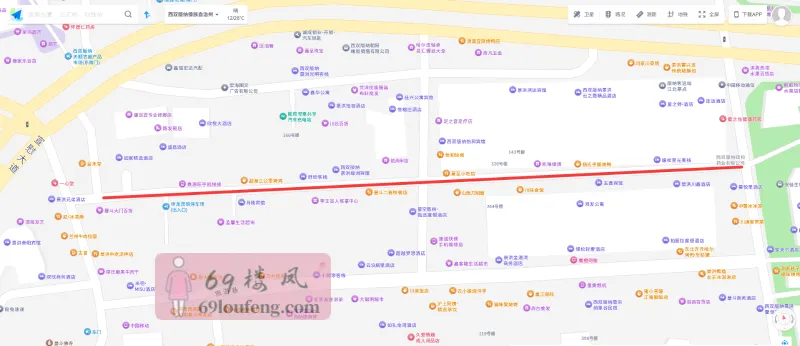 曼斗街道站街 - 云南-西双版纳傣族自治州 楼凤实拍第3张
