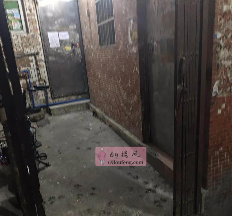 棠下小巷子 - 广东-广州 楼凤实拍第1张