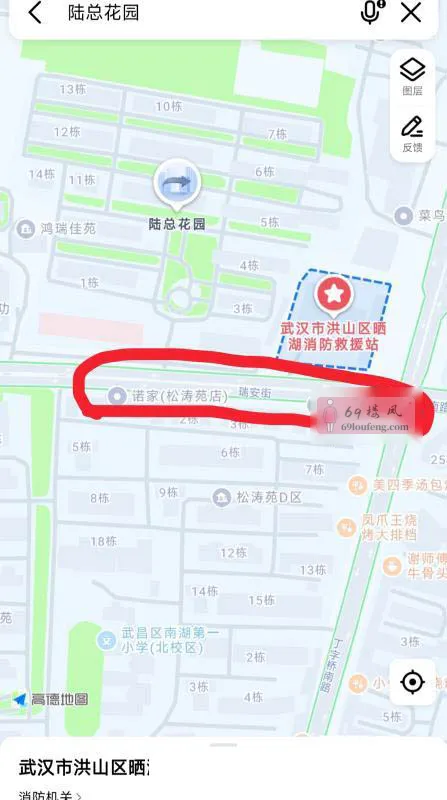 武汉一条街 - 湖北-武汉 楼凤实拍第2张