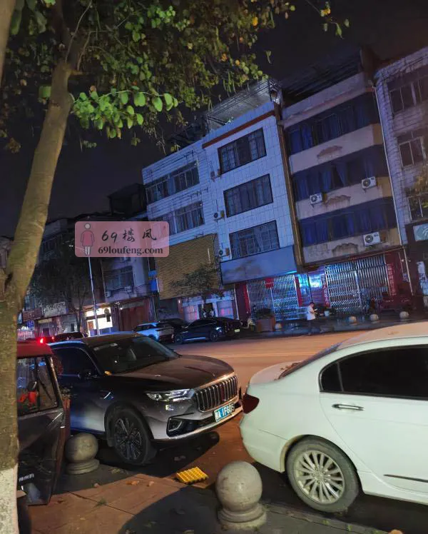 来宾市武宣县暗巷 - 广西-来宾 楼凤实拍第3张