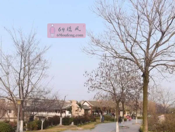 古黄河公园大同广场 - 江苏-徐州 楼凤实拍第1张