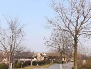 古黄河公园大同广场 狼友实拍 江苏-徐州