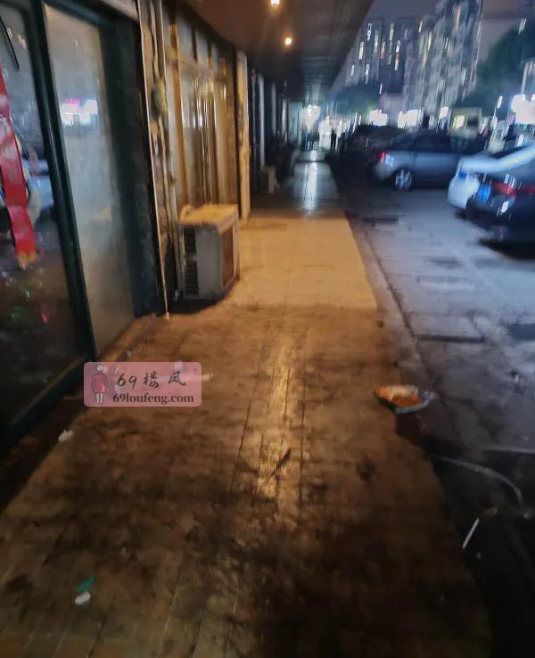 河西花园站街 - 江苏-南京 楼凤实拍第1张