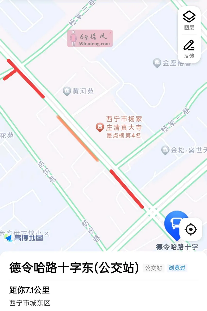 青海西宁大众街 - 青海-西宁 楼凤实拍第1张