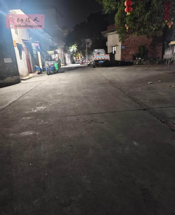 东莞石排暗巷 - 广东-东莞 楼凤实拍第3张