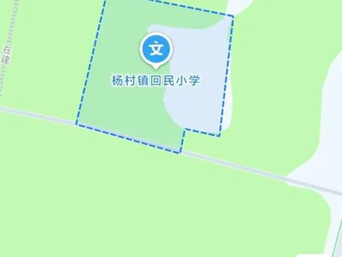 武清区杨村镇回民小学东边的街上有站街 天津 狼友扫街偷拍