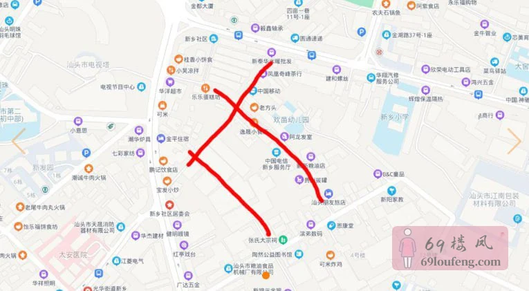 金平区新乡市场附近巷子内 - 广东-汕头 楼凤实拍第1张