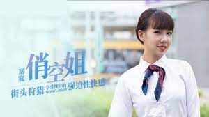 窈窕俏空姐-街頭狩獵，享受視奸的強迫性快感 玩家亲测好评资源