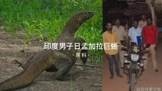 7aiTV精选视频：#黑料事件 印度男子日孟加拉巨蜥 完整版