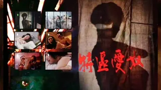 三级-特区爱奴 完整无删减版在线看