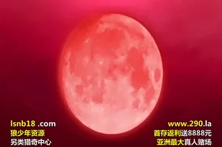 ヴィーナスブラッド-ブレイヴ- 第2話 生娘は触手の海にいだかれる（メリー·ジェーン） - 极具视觉冲击力的全网精选内容