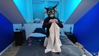 91社区热议作品：“这是该视频的最终版本。请始终有趣的是，在相机上捕捉可爱的Arkheus，以便您的乐趣和我的我。你们，玩得开心：3“("This is the final version of this video. Always fun to catch the lovely Arkheus on camera for your pleasure and mine. \n\nI'm still trying to improve, and as you can see there are different camer 实拍