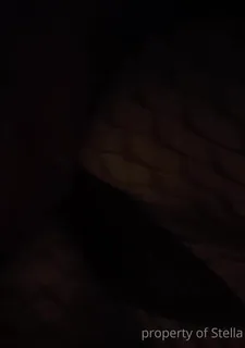 无标题(untitled) 最新更新资源合集