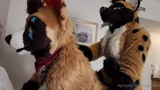 正在播放：“只要给我的好人，Bigbadwuffer一个很好的深层鸡巴。听那些大叫和抱怨。让他在剩下的一天里徘徊，臀部上满是叶幼崽。”("Just giving my good pupper, BigBadWuffer a nice deep dicking. Listen to those yelps and whines. Was fun letting him wander the rest of the day fully loaded with yeen pups in his rump.") (全网精选频道)