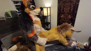 正在播放：“当一个可爱的帕皮遇到帕皮时，你知道爸爸Yote会让他Meoooow〜 (全网精选频道)