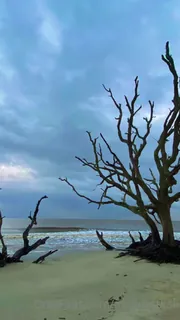 “从我出色前往NC，SC，GA和FL的出色旅行中的亮点；我爆炸了，希望很快再回来！ 。”("Highlights from my wonderful trip to NC, SC, GA and FL; I had a blast and hope to come back again soon! If you could take a trip with me anywhere, where would you take me and what would we do? Comment below.") - 1080P超清画质展示图