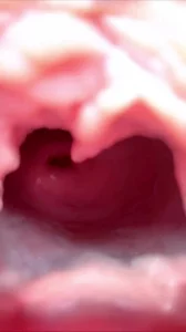 全网精选精选视频：骚母狗展示超级大逼洞 完整版