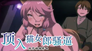 回复术士的重启人生12 玩家亲测好评资源