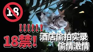 猫咪av站精选视频：【国产】酒店偷拍实录 完整版