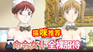 查看 姬骑士莉莉亚5 的详细介绍与播放