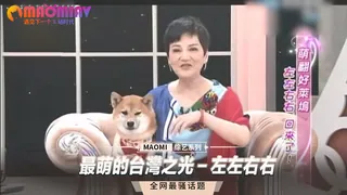 最萌的台灣之光－左左右右 - 实时更新的高清猫咪av站资源