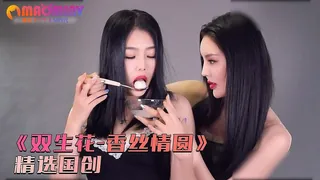 《双生花-香丝情圆》凉儿&小智贤 玩家亲测好评资源