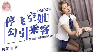 91视频推荐：停飞空姐勾引乘客 手机在线播放