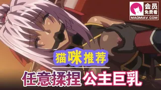 公主骑士奥莉维亚2 最新更新资源合集