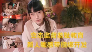变态监督羞耻教育-新人敏感带捆绑开发 - 1080P超清画质展示图