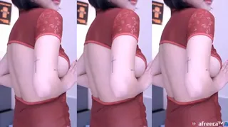 韩国主播Korean BJ  性感热舞合集 - 极具视觉冲击力的猫咪av站内容