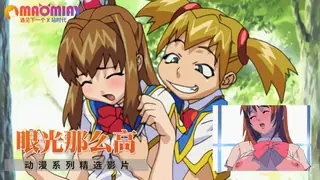 猫咪av站高分作品推荐：眼光那么高