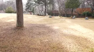 91视频官方收录：和游戏角色一起做爱