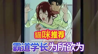 猫咪av站高分作品推荐：性感内衣1