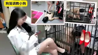 狗笼调教小狗‘’ 玩家亲测好评资源