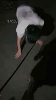 带着狗狗出街 - 实时更新的高清猫咪av站资源