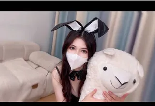 可爱的兔女 最新更新资源合集