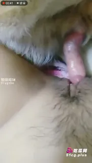 猫咪av站题材必看：人兽杂交 封面图