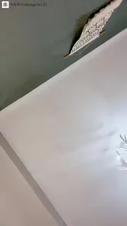 91社区热议作品：#小妲己   #猪猪小宝   童颜巨乳 ，肥鲍自慰_太大了 实拍