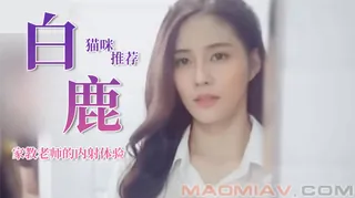 Al—白鹿 家教老师的内射体验 - 极具视觉冲击力的猫咪av站内容